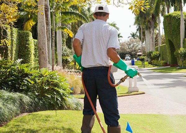 About Mc Comb OH Pest Control